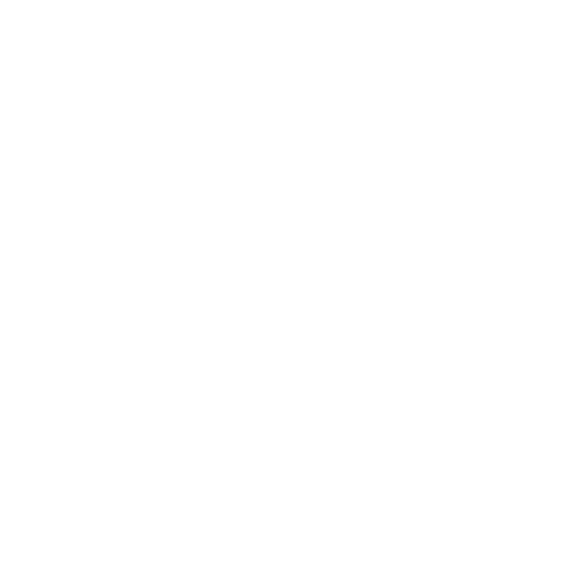 wikinger logo